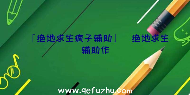 「绝地求生疯子辅助」|绝地求生辅助作